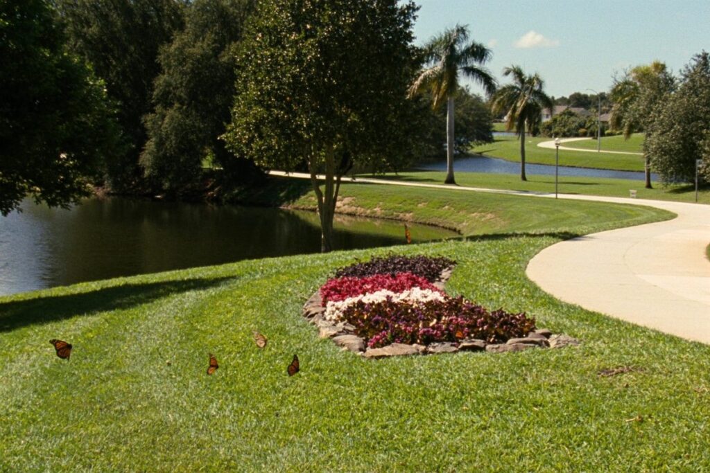 Tropical butterfly garden in Coconut Creek, Florida