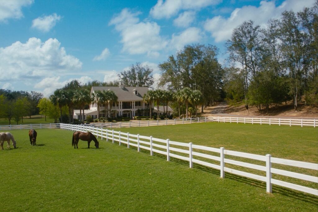 Horses grazing at an equestrian estate in Wellington, Florida